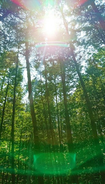 福島 南相馬のパワースポット円明院 誰でも今すぐ幸せになれる 引き寄せの法則に失敗したエンジェル達へ