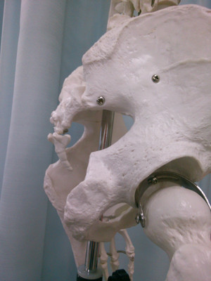 Kimg0143_5