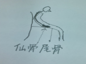 尾てい骨打撲したセックスできますかq A あおぞら整骨院のブログ