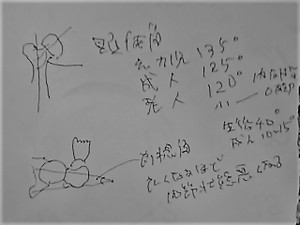 Kimg0282