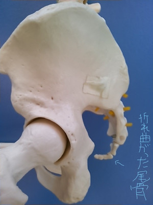 Kimg0362_li Kimg0362_li