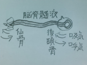 Kimg0239_3