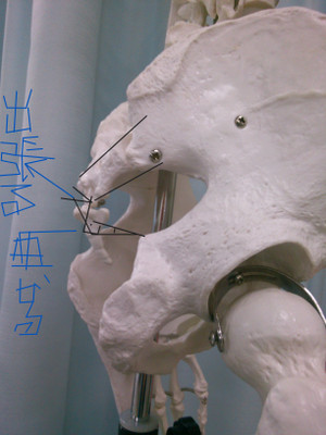 Photo_2