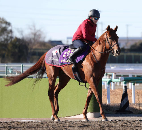 田中博厩舎のG1馬レモンポップの追い切りを終えて馬場を出る福永師（撮影・丹羽敏通）