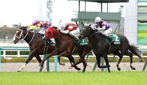 阪急杯に勝利したウインマーベル（中央）。左は2着のアサカラキング、右は3着のサンライズロナウド