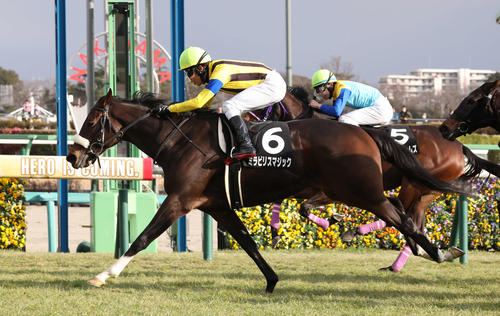 ゴール手前で差し切って菜の花賞を制したミラビリスマジックと田辺騎手（手前）