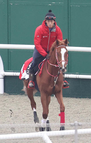 21日、角馬場で調整するシンエンペラー