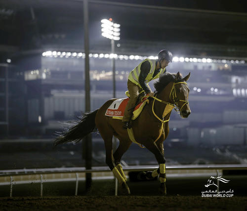 ドバイワールドCに向けてメイダン競馬場で調整するウシュバテソーロ（（C）Dubai Racing Club）