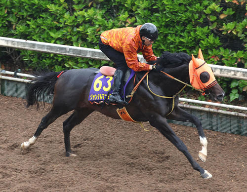 坂路を単走で追い切るジャンタルマンタル（撮影・白石智彦）