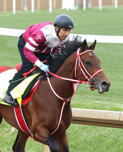 調整するフォーエバーヤング（C）Coady Media／Churchill Downs