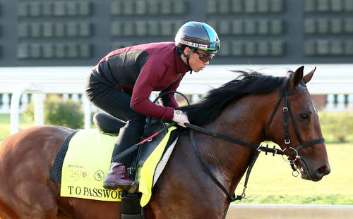 調整するテーオーパスワードと木村和士騎手（C）Coady Media／Churchill Downs