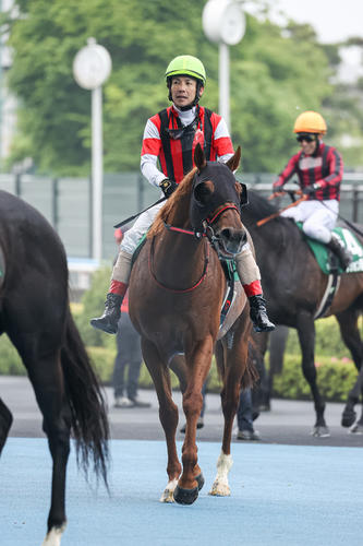 函館スプリントSで2着のウイングレイテストと松岡騎手（撮影・村野早祐）