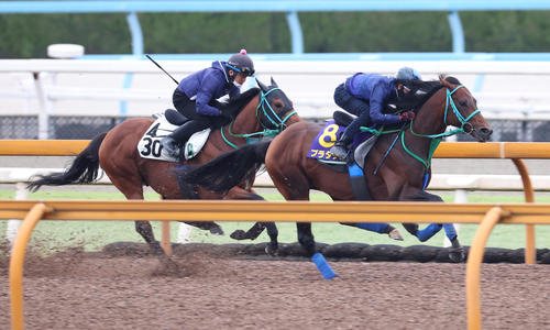 宝塚記念に向け、1週前追いをCウッドで行ったプラダリアと松山騎手。左はカズペトシーン