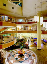 $Be Stupid Philosophy