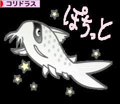 にほんブログ村 観賞魚ブログ コリドラスへ