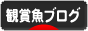 にほんブログ村 観賞魚ブログへ
