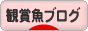 にほんブログ村 観賞魚ブログへ
