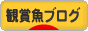 にほんブログ村 観賞魚ブログへ