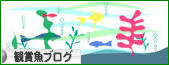 にほんブログ村 観賞魚ブログへ