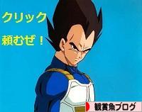 にほんブログ村 観賞魚ブログへ