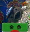 にほんブログ村 観賞魚ブログ 金魚へ