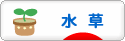 にほんブログ村 観賞魚ブログ 水草へ