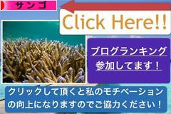 にほんブログ村 観賞魚ブログ サンゴへ