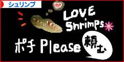 にほんブログ村 観賞魚ブログ シュリンプ(エビ)へ