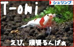 にほんブログ村 観賞魚ブログ シュリンプ(エビ)へ