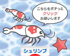 にほんブログ村 観賞魚ブログ シュリンプ（エビ）へ