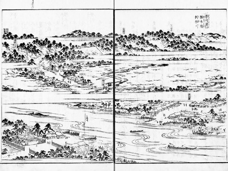 市川渡口　根本橋　利根川