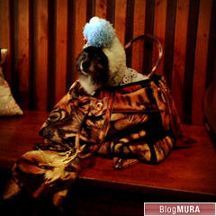 にほんブログ村 美術ブログ チョークアートへ