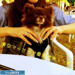 にほんブログ村 美術ブログ チョークアートへ