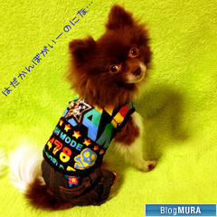 にほんブログ村 美術ブログ チョークアートへ