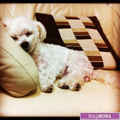 にほんブログ村 美術ブログ チョークアートへ