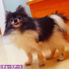 にほんブログ村 美術ブログ チョークアートへ