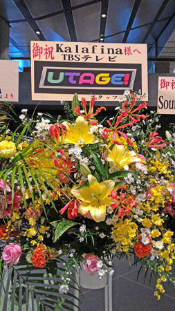 P_20151011_141144_edited-1