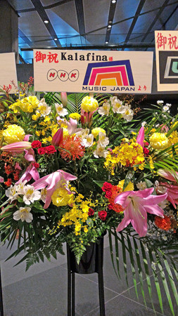 P_20151011_141150_edited-1