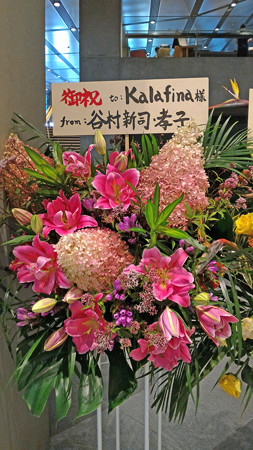 P_20151011_141213_edited-1