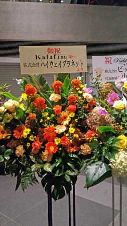 P_20151011_184139_edited-1