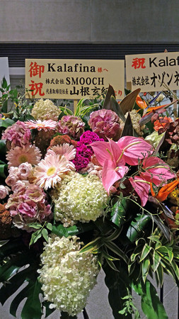 P_20151011_184152_edited-1