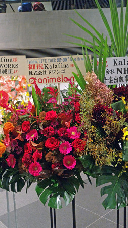 P_20151011_184215_edited-1