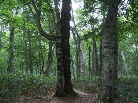 DSCF1556