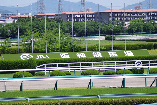 阪神競馬場