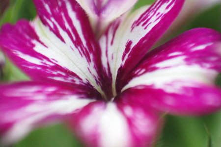 P7050517