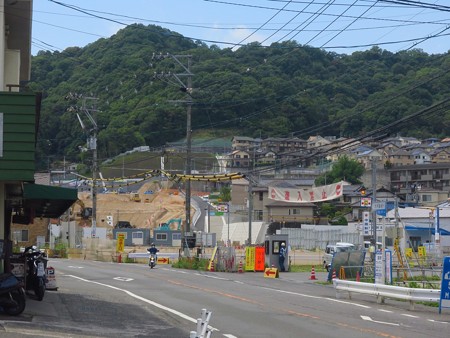 八木の西村ジョイの熱帯魚コーナーを見に行ってきました そこものログ