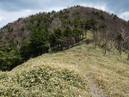 DSCF0793