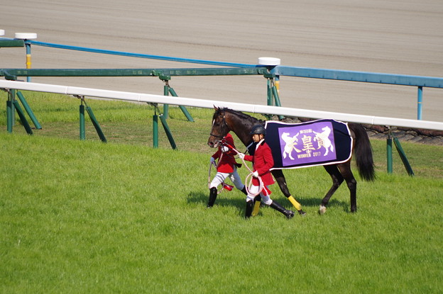 キタサンブラック 天皇賞の馬服が良く似合う