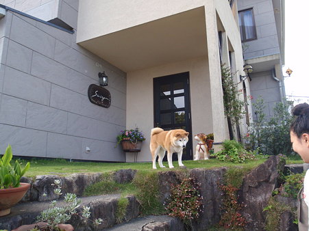 6 6 7 宿泊は クオリティイン スイング おむの部屋