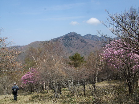 DSCF0737